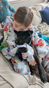 Dexter - Oregon Litter