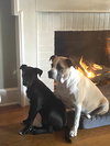 Franklin - Oregon Litter