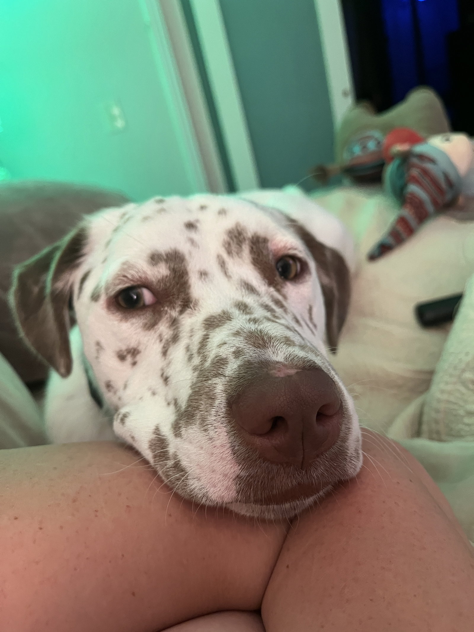Freckles, photo 11