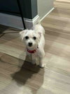 Betty