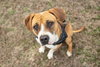 Winnie Boxer - Photo 3