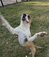 Winnie Boxer - Photo 5