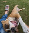 Winnie Boxer - Photo 7