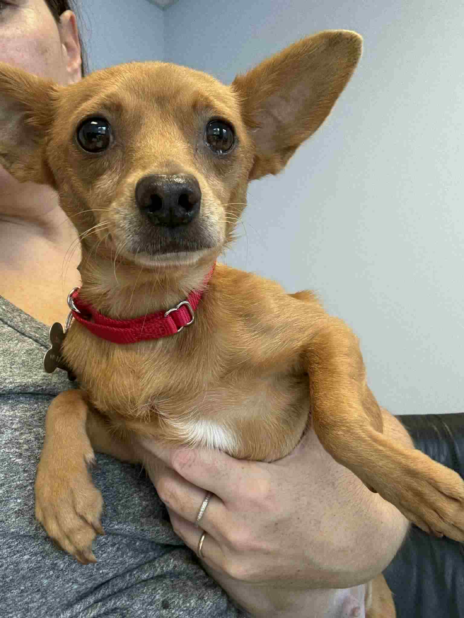 Fiona image 4