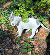 Blue - Betty Boop Litter