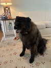 Sophie