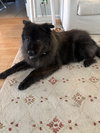 Sophie