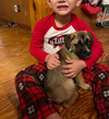 Noelle - Happy Holidays Litter