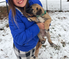 Noelle - Happy Holidays Litter