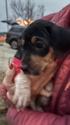 Jackie Pot - Lottery Litter - Photo 3