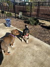 Jackie Pot - Lottery Litter - Photo 5