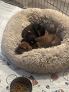 Jackie Pot - Lottery Litter - Photo 6