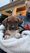 Blackjack - Lottery Litter - Photo 4