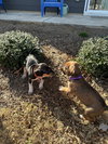 Blackjack - Lottery Litter - Photo 3