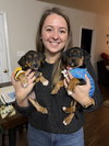 Fortuna - Lottery Litter