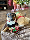Fortuna - Lottery Litter - Photo 3