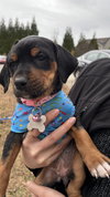 Moonshot - Lottery Litter - Photo 9
