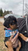 Moonshot - Lottery Litter