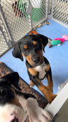 Moonshot - Lottery Litter - Photo 7