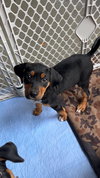 Moonshot - Lottery Litter - Photo 5