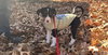 Serendip - Lottery Litter