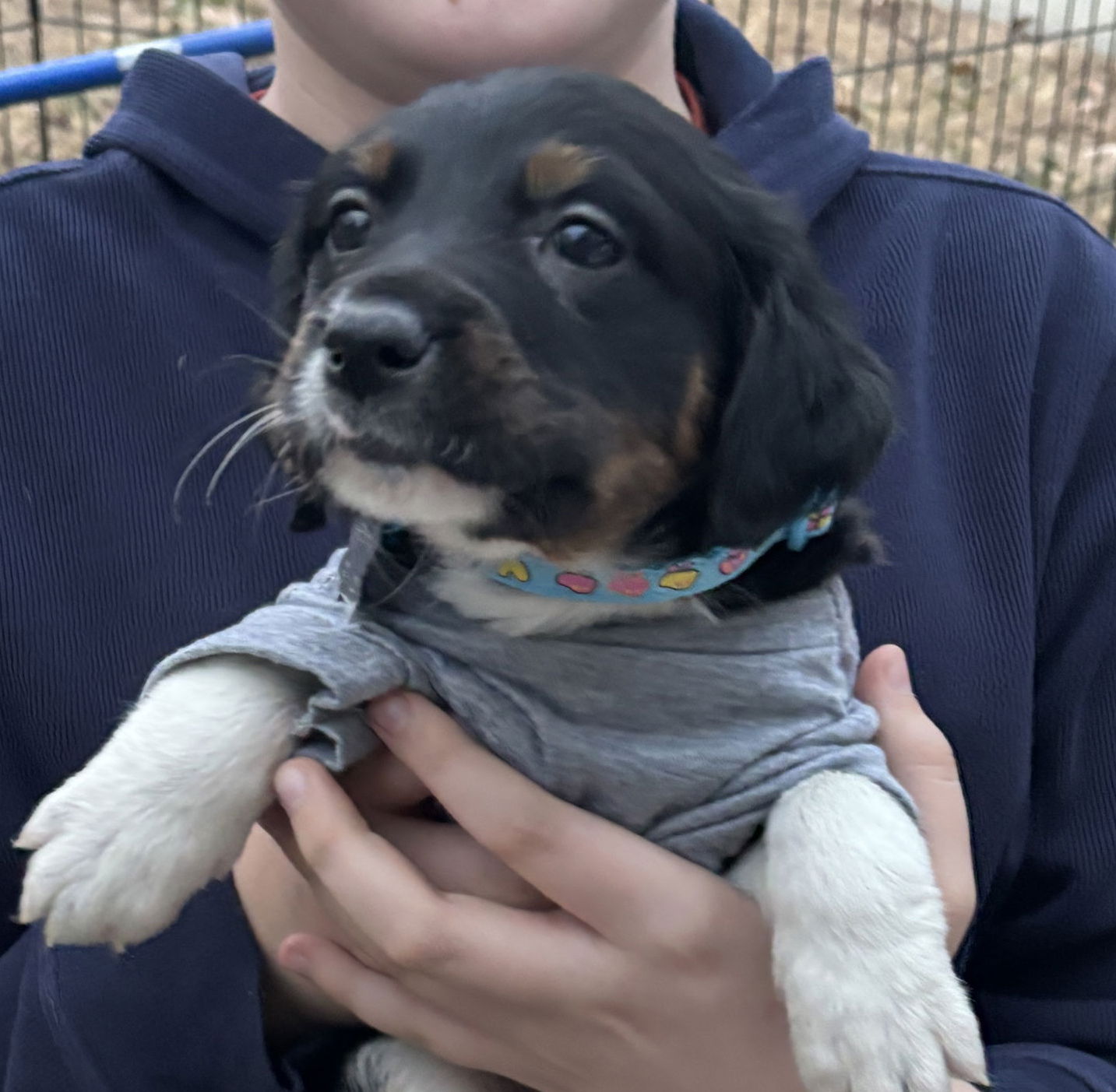 Gambler - Lottery Litter Image
