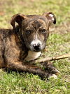 Fritz - Photo 2