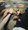 Scooby - Photo 2