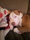 Trulie - Photo 3