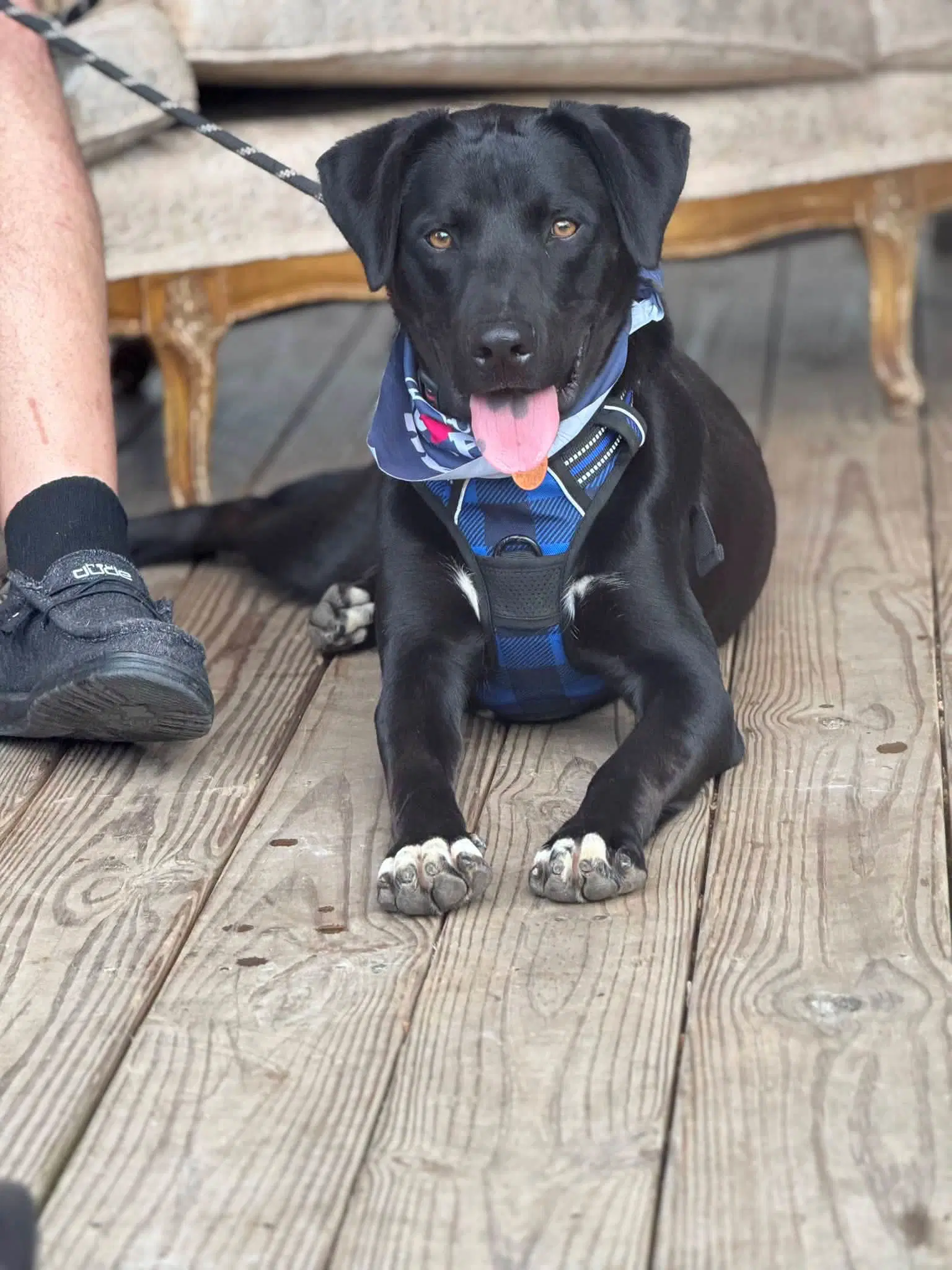 Theo image 2