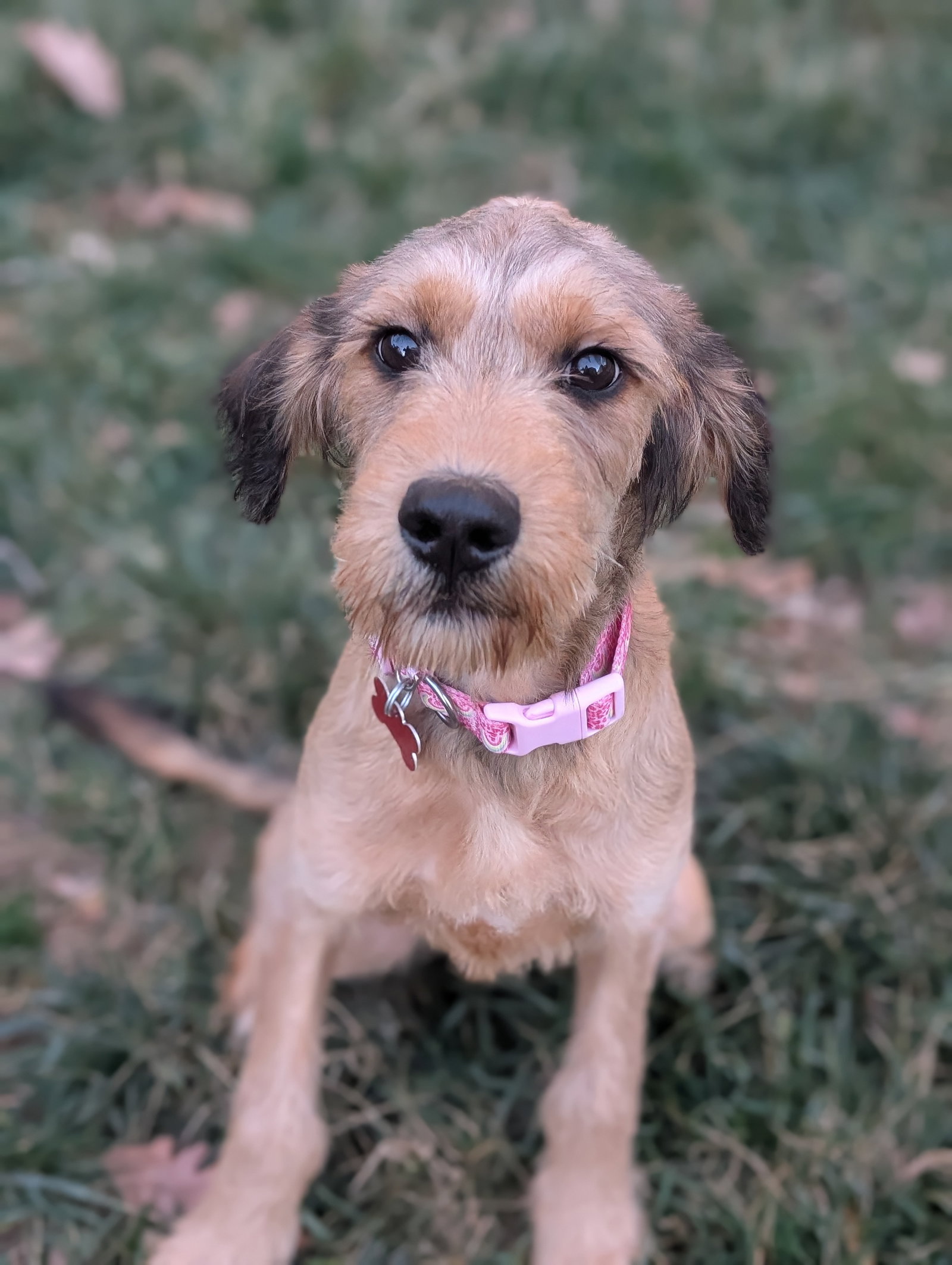 Hazel Louise Image
