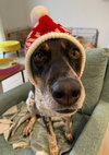 Myla (Courtesy)