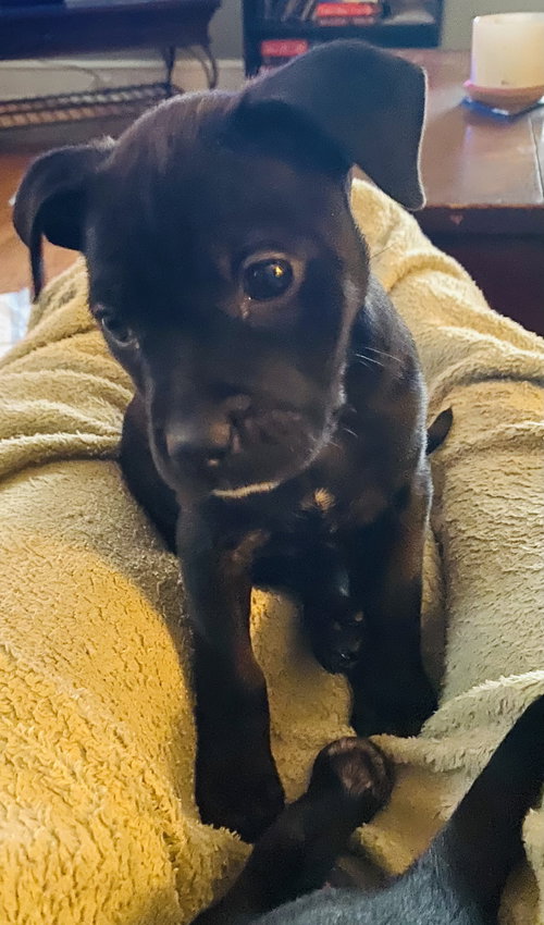 Maggie