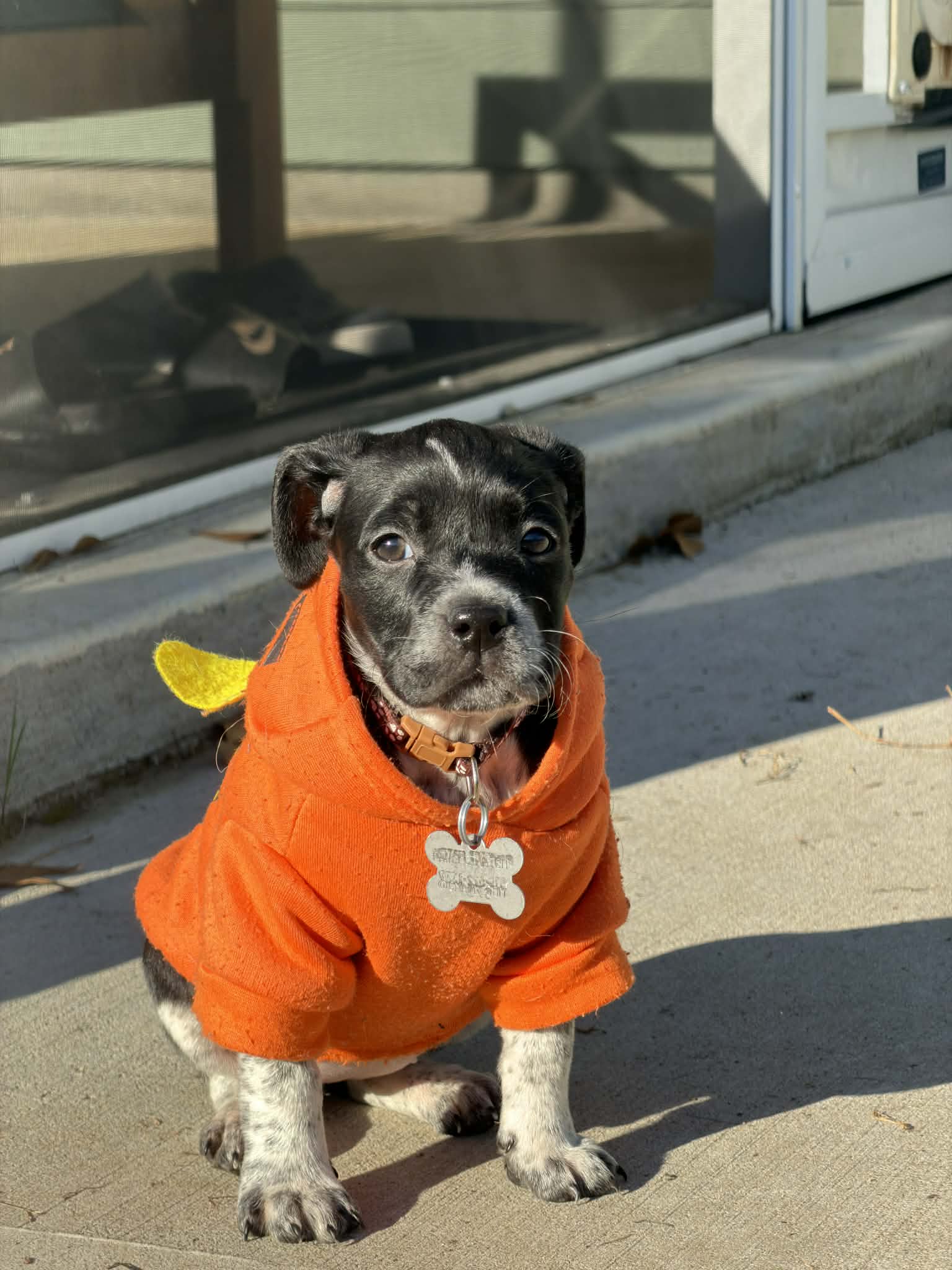 Bella Image
