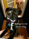 Raelyn