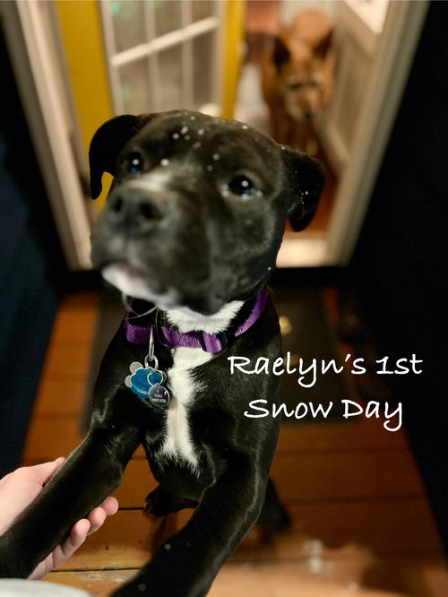 Raelyn — thumbnail 4