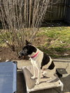 Bessie