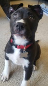 Jackson