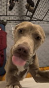 Zoey - Photo 2
