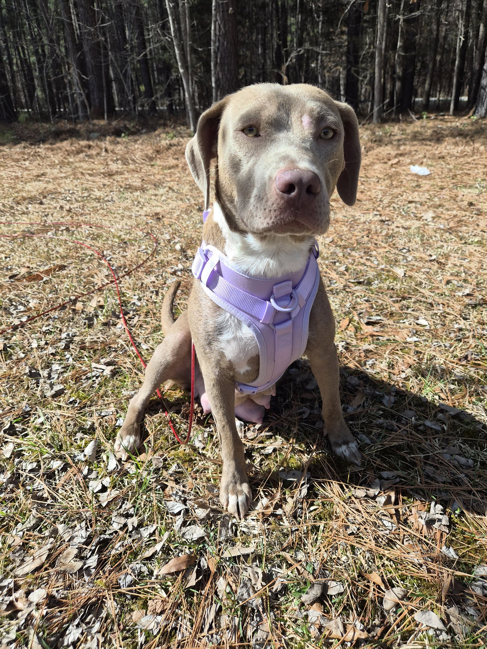 Zoey Image