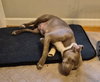 Zoey - Photo 7