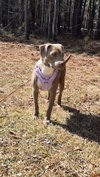 Zoey - Photo 5