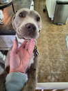 Zoey - Photo 12