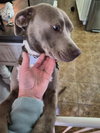Zoey - Photo 13