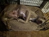 Zoey - Photo 14