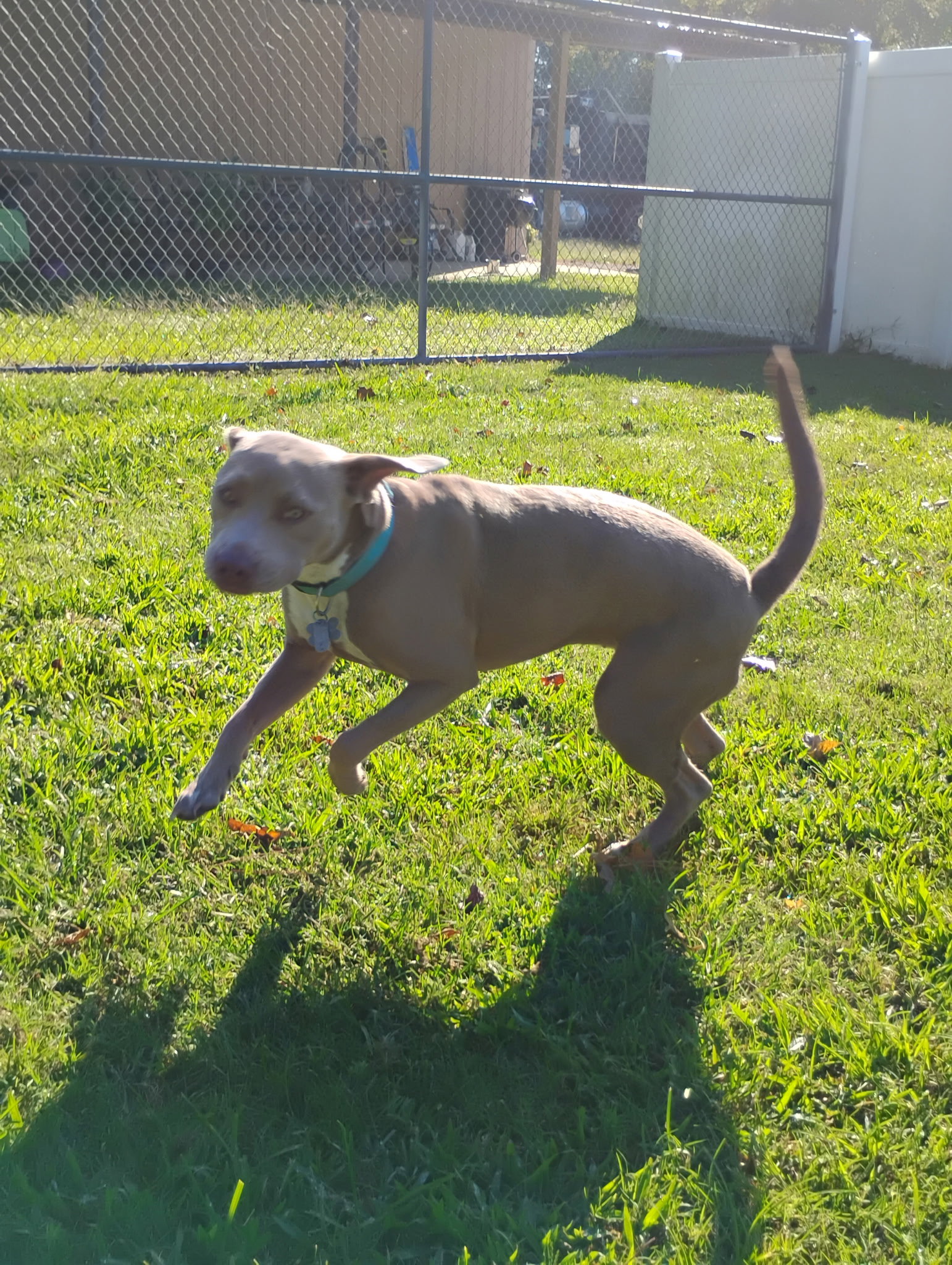 Zoey (Momma), photo 17