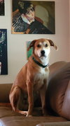 Tucker