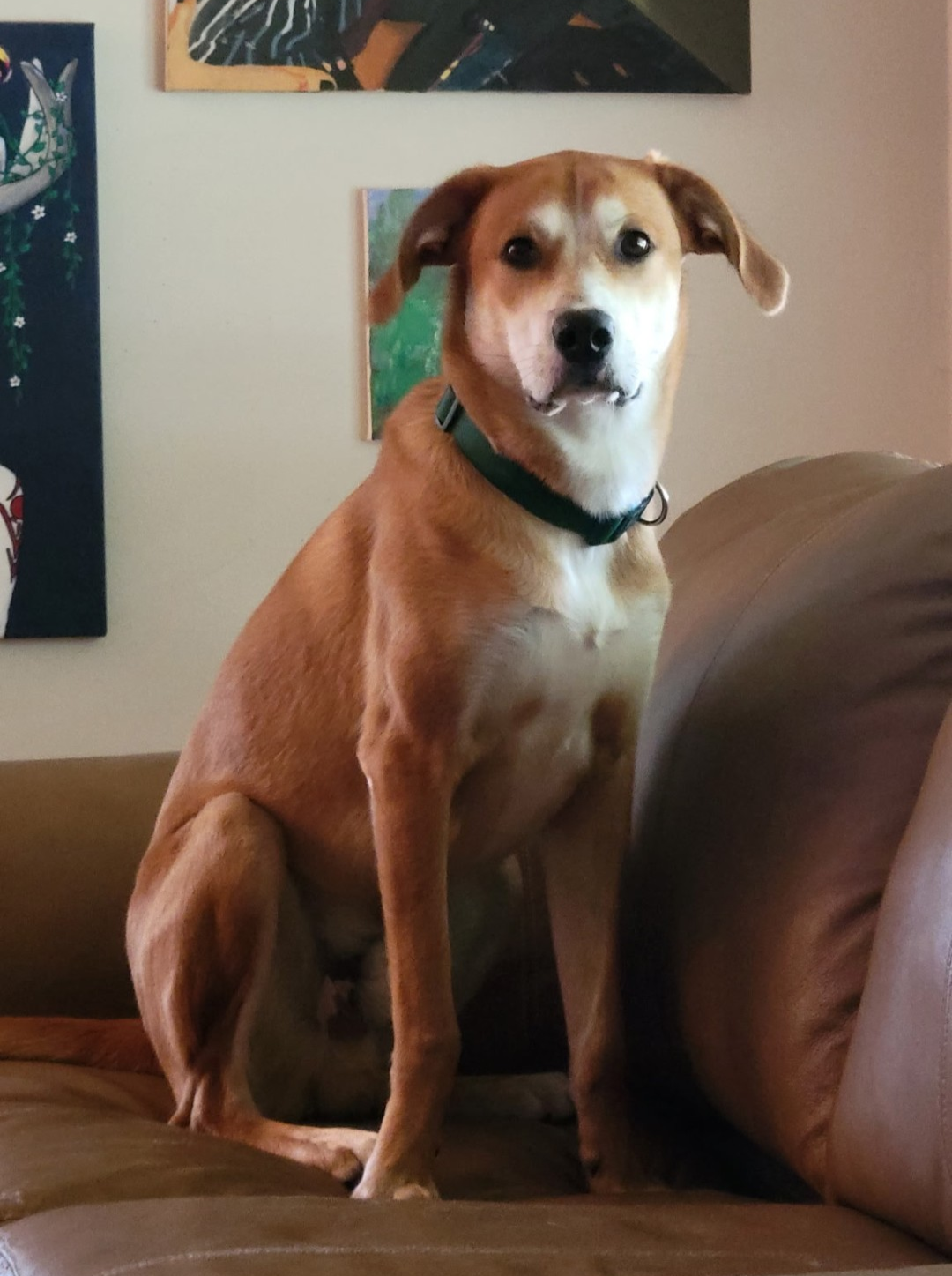 Tucker Image