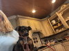 Pippy - Photo 2