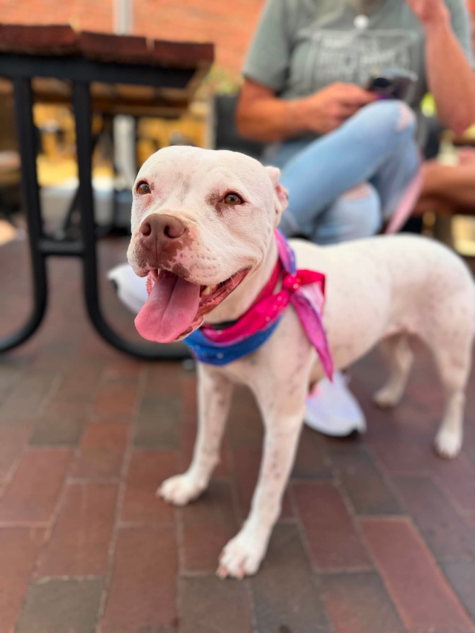 Snow (Mama of Wrecking Crew Litter) Image